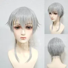 【翌日発送】刀剣乱舞 鶴丸国永 風 ウィッグ セット済 ミュ寄り【新品】