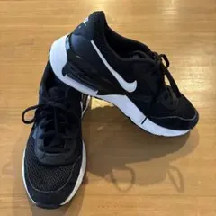 Nike Air Max ブラック/ホワイト スニーカー