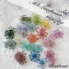 Item thumbnail for item 25430417-8122-49bb-a77a-9dfbc7ea40e0