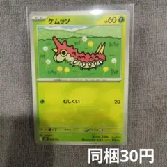 【在庫1】ケムッソまとめ買いのサムネイル