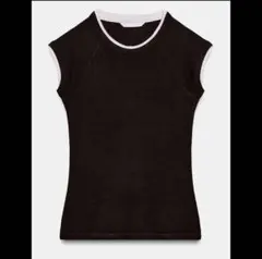 ＺＡＲＡ　Ｔシャツ ブラウン