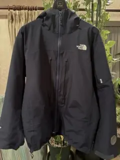 美品 THE NORTH FACE GORE-TEX RTGジャケット L
