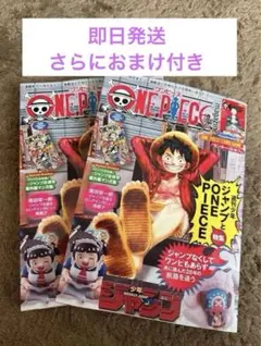 ワンピースマガジン　20号 モンキー・D・ルフィ　付録付　2冊分　おまけ付き