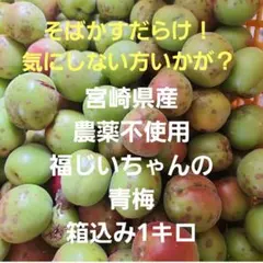 ⭕予約受け付け！そばかすあり！宮崎県産　無農薬　福じいちゃんの　青梅　サイズ混合 小さめ！そばかすだらけ！宮崎県産 無農薬 福じいちゃんの 青梅 箱込み