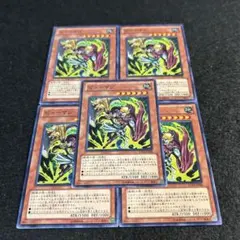 a2115【遊戯王】ピューマン　5枚セット