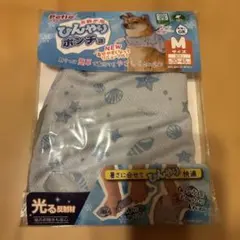 Item thumbnail for item 63defcd0-9e33-4451-bafd-364b337adf49