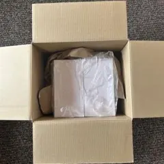 LIVING STYLEの掃除機「ツインマルチサイクロンV10 MK-GN10 - メルカリ
