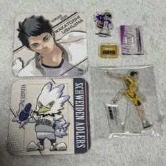 ハイキュー　牛島若利　ハイキュー展　クロニクル　コースター