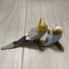 手のりインココレクション ～スヤスヤおやすみ編～　オカメインコ　ボタンインコ