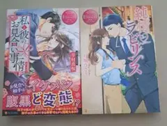 TL小説まとめ売り エタニティブックス - メルカリ