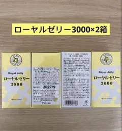 ⭐️新入荷⭐️ナリス化粧品⭐️ナリス 調製ローヤルゼリー3000 120粒