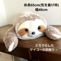 靴下にゃんこ くったりぬいぐるみノルッチ サンエックス 靴下にゃんこ くったりぬいぐるみノルッチ サンエックス タグ付 - メルカリ