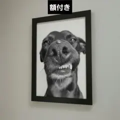 ggg様 リクエスト 2点 まとめ商品額付き