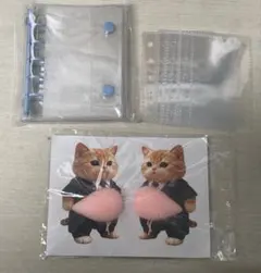 M5シール帳 リフィル10枚＋猫2匹 ぷにぷに お腹シール バインダー セット2