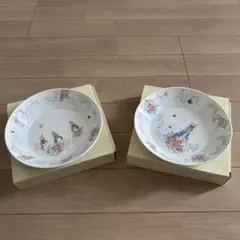 ピーターラビット / パスタカレー皿【新品】のサムネイル
