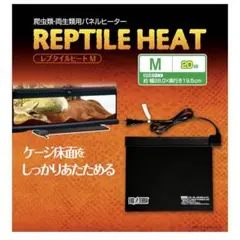 Item thumbnail for item 461c9ea7-04c4-4baa-9672-3bb035133b18