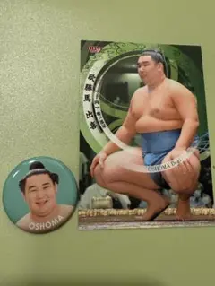 Item thumbnail for item 2b374abf-530d-42c3-aa25-5a4faa0e7500