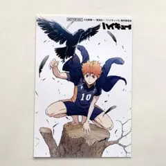 ハイキュー　日向翔陽　ブロマイド