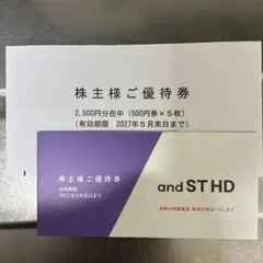 株式会社アンドエスティHD andST HD 株主様ご優待券 2,500円分のサムネイル