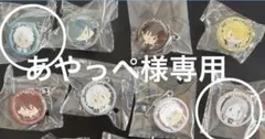 あやっぺ様専用