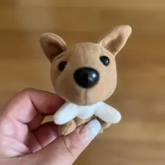 The dog 犬　ぬいぐるみ