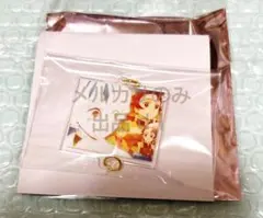鬼滅の刃 隊士百景 我妻善逸 絆アクリルチャーム 1 竈門炭治郎