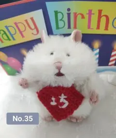 No.35