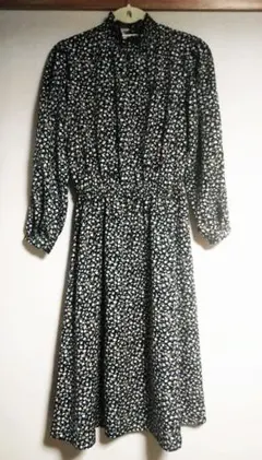 Item thumbnail for item 9dd75248-6cc6-4cf1-bfed-c1d698cb4a35