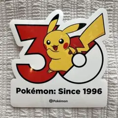 イーブイ　３０周年記念　韓国　ポケモン　ステッカー　ランダム　シール イーブイ 30周年記念 韓国 ポケモン ステッカー ランダム シール