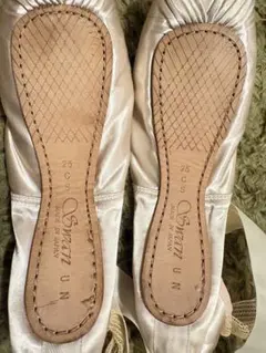 【お値下げ可能】Chacott チャコット トゥシューズ Swan スワン