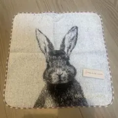 Item thumbnail for item 2e463d46-f7d5-4418-b4bb-5ed905f204bd