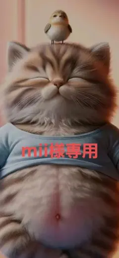 mii様専用 確認用