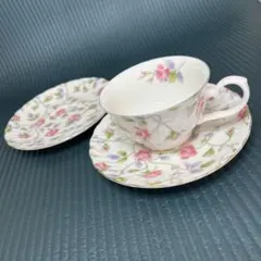 HOYA CHINA Flash Ivory カップとソーサー2枚のセット