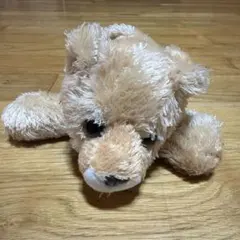 AURORA オーロラ メス ライオン ぬいぐるみ 動物園 アニマル