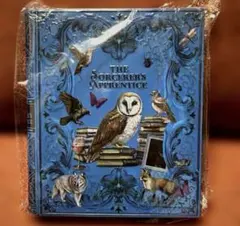 魔法辞書クッキー缶　ハロウィン 未開封 KALDI カルディ 青　ネイビー
