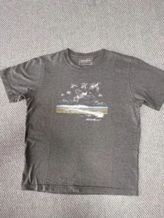 Eddie Bauer グレー Tシャツ Lサイズ