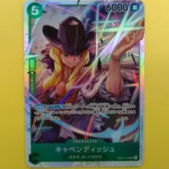 キャベンディッシュ SR EB01-012 P18