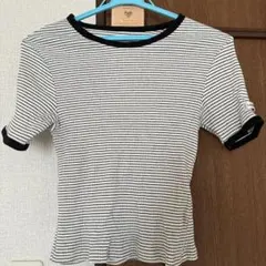 ストライプ 半袖Tシャツ