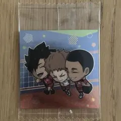 にふぉるめーしょん ハイキュー　シークレット