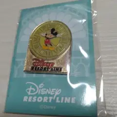 や*か様 ディズニーリゾートライン　ピンズ