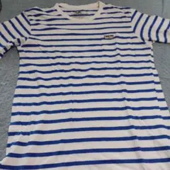 BLUE BLUE ストライプ Tシャツ LG