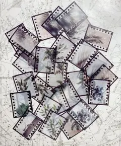 コラージュ素材　フィルム風フレークシールE