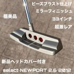 スペシャルセレクト ニューポート2 ツイストネック ミラーフィニッシュ
