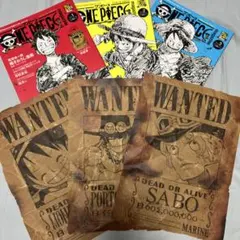 当選品】30億ルフィWANTED 新四皇手配書 ルフィのみ - メルカリ