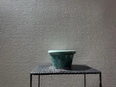 陶器鉢　作家鉢　3号　浅鉢