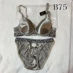 Item thumbnail for item 837d4406-4d83-48be-9db2-b576a13a8e3b