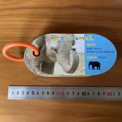 動物名知育絵本