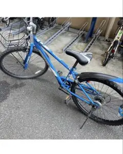Schwinn Ella 24インチ - メルカリ
