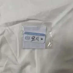 ヨシ カプセルトイ SPECIAL MOMENT ハングル名札