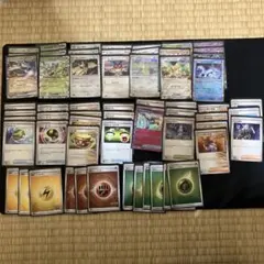 ポケカ　タケルライコ　デッキ